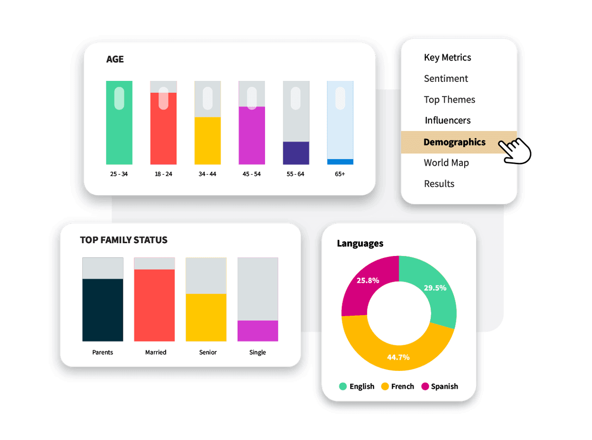 Demographic dashboard showing age distribution, family status, and language preferences with colorful charts and graphs